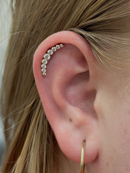 Titanium Luxury Crown