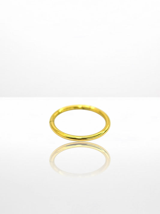 Titanium Simple segment