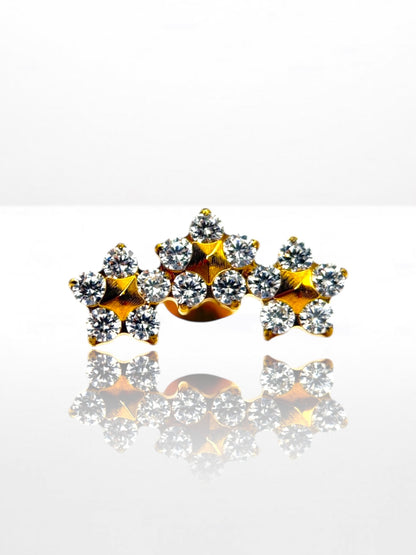 Titanium Flowers Crown