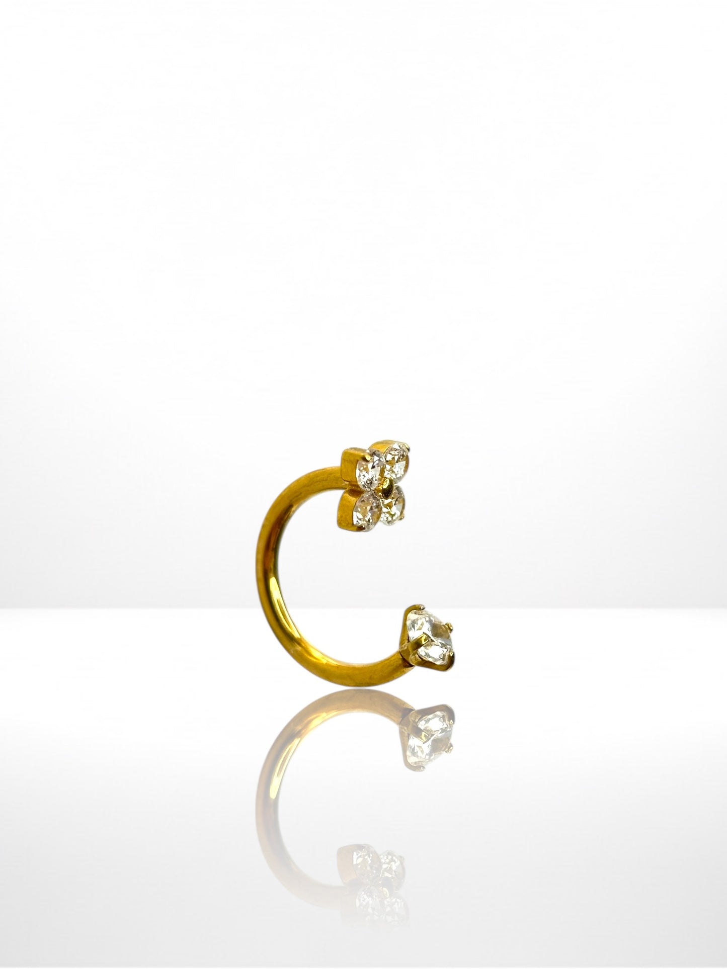 Titanium Viridia Horseshoe