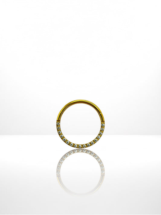 Titanium Classic side segment