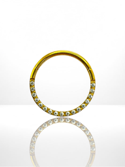 Titanium Classic side segment