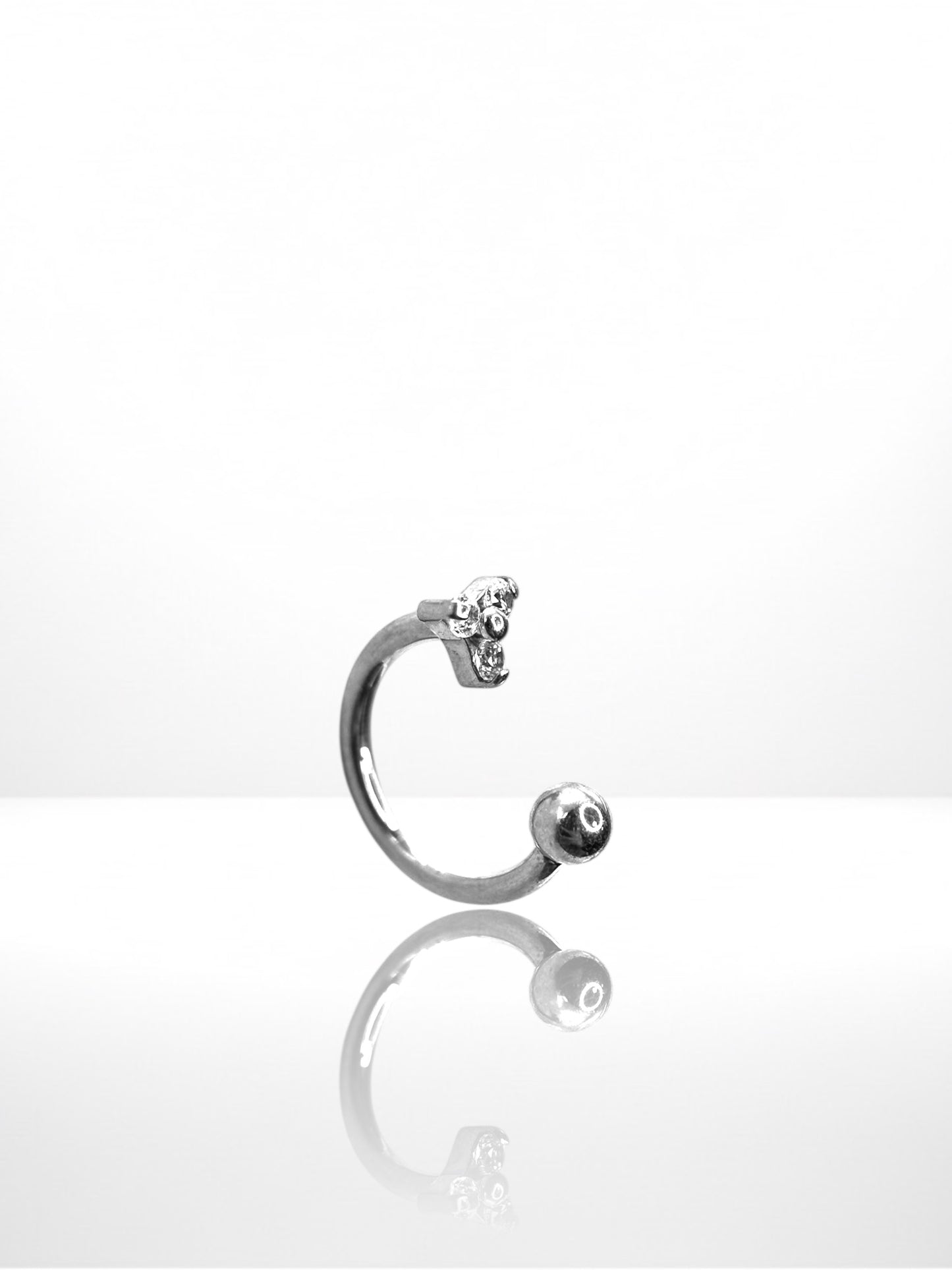 Titanium Trinity Horseshoe