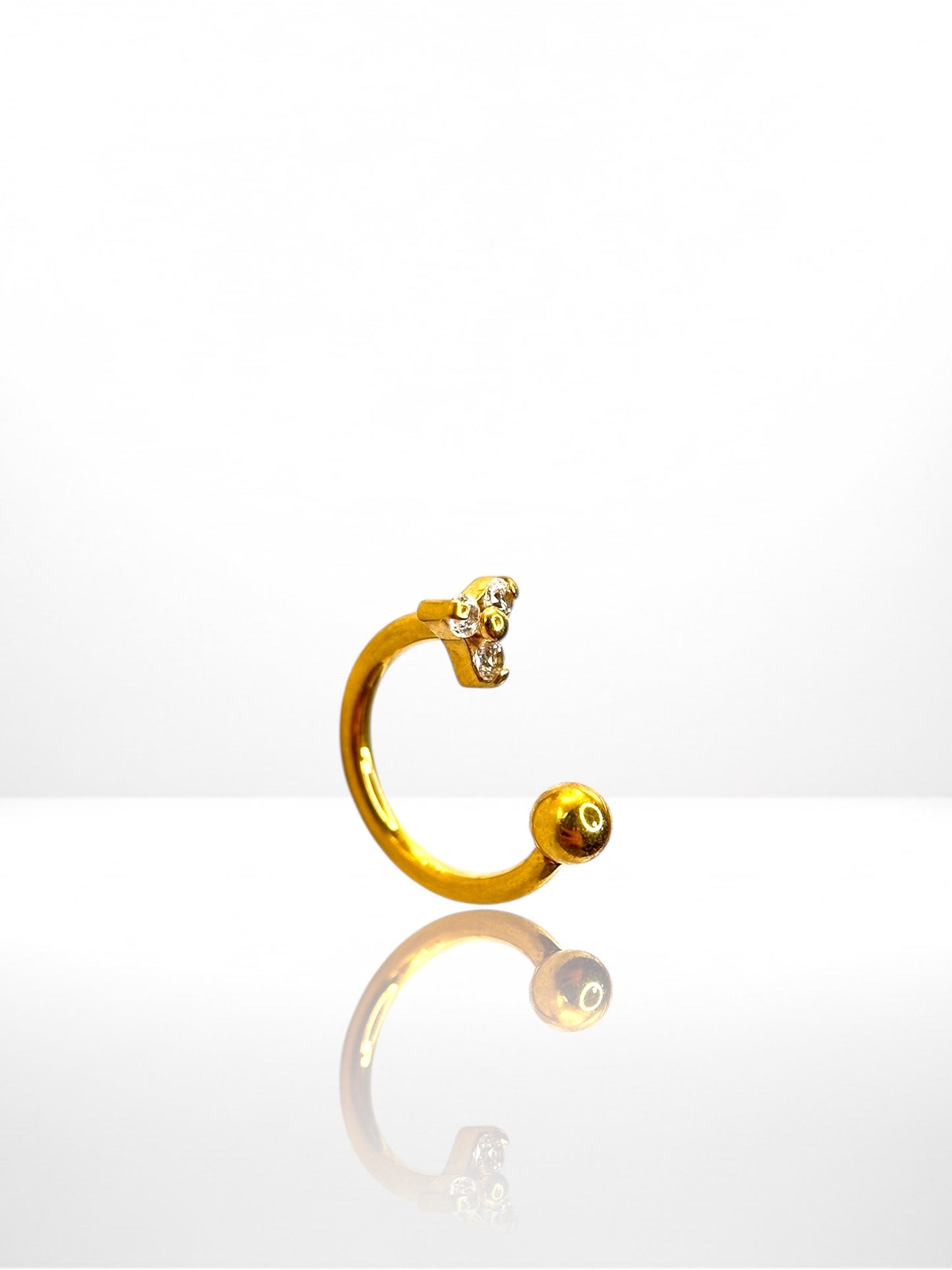 Titanium Trinity Horseshoe