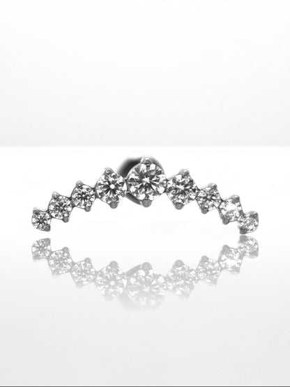 Titanium Luxury Crown