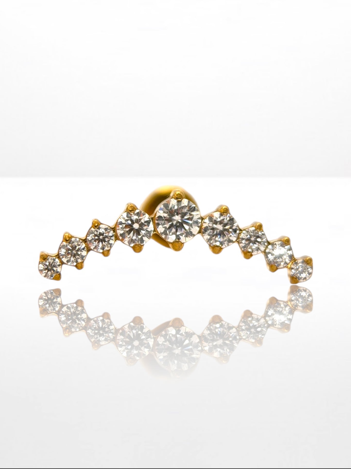 Titanium Luxury Crown