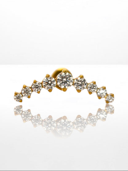 Titanium Luxury Crown