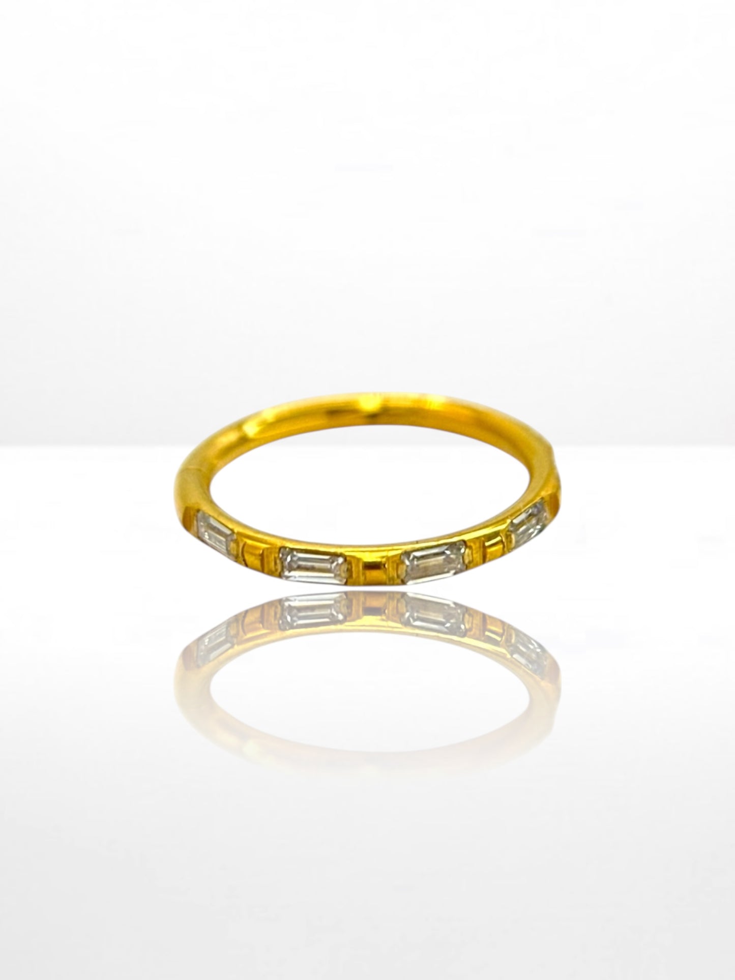 Titanium Shine front segment