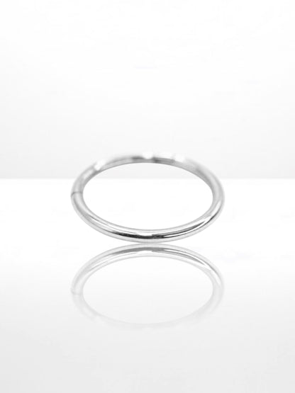 Titanium Simple segment